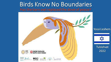 Birds Know No Boundaries