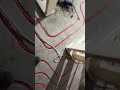 шотик про тёплый пол