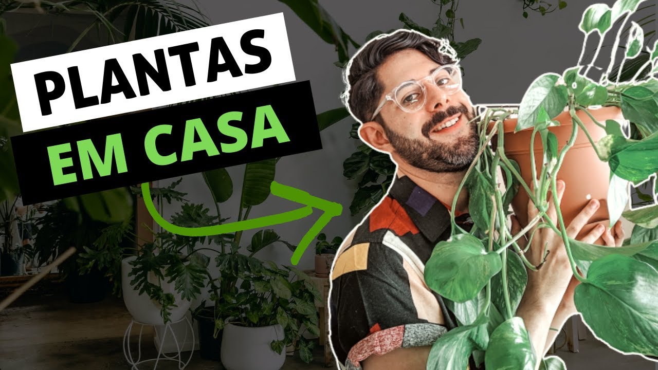 COMO CULTIVAR PLANTAS EM CASA (PASSO A PASSO)