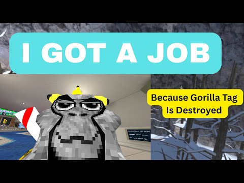 I GOT A JOB BECAUSE GORILLA TAG IS DESTROYED