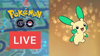 🔴 MINUN SPOTLIGHT HOUR in POKEMON GO (AKA TRADING SPOTLIGHT) Typing Effectiveness Play Pok Mon Go Spotlight