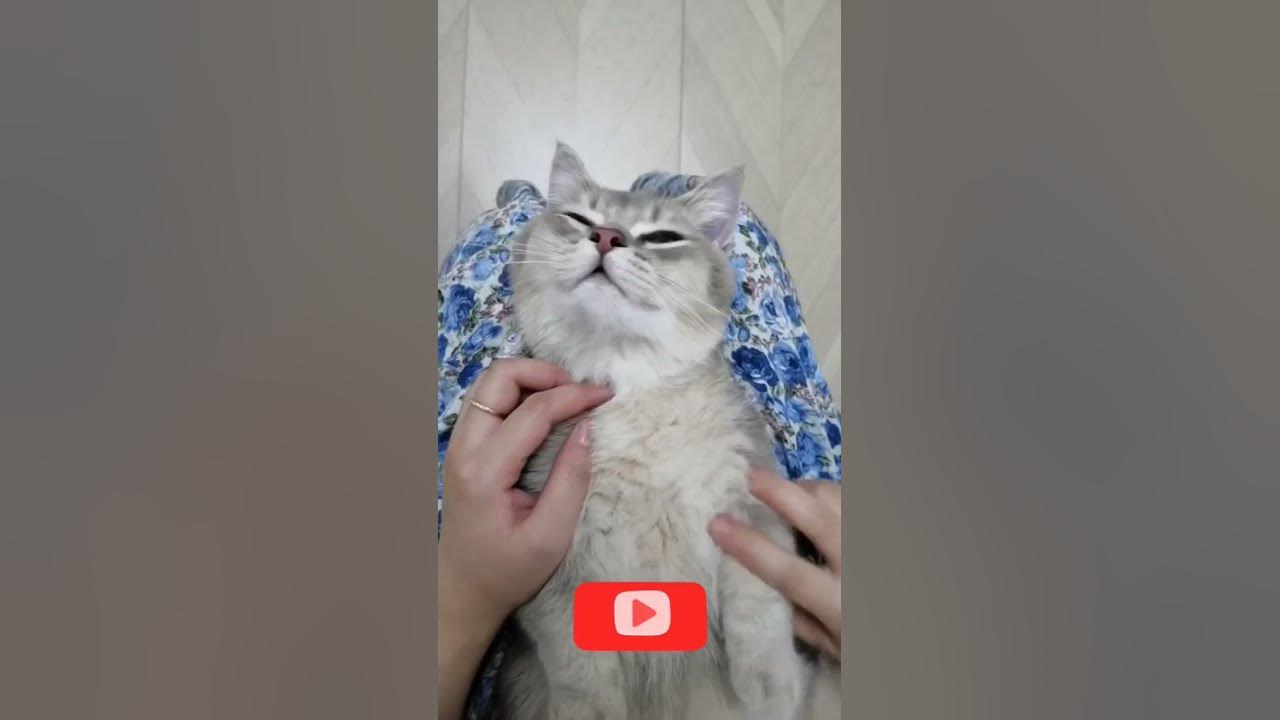 when-you-get-catcalled-and-how-to-respond-youtube