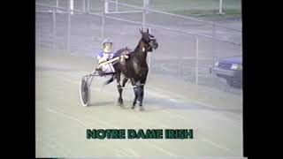 1995 Scioto Downs NOTRE DAME IRISH Eric Ledford