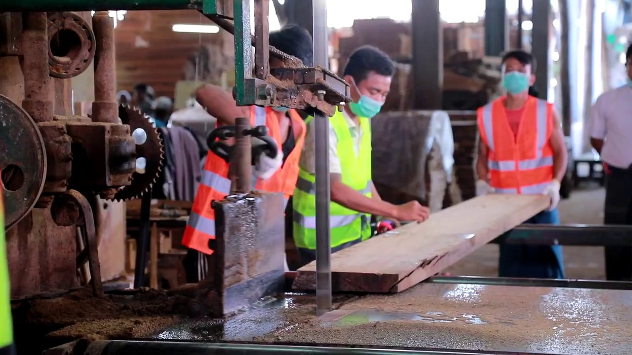 Teak Sawmill : Logs to Lumber