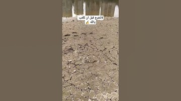 فل ينظر الانسان الى طعامة... القارئ طارق محمد.