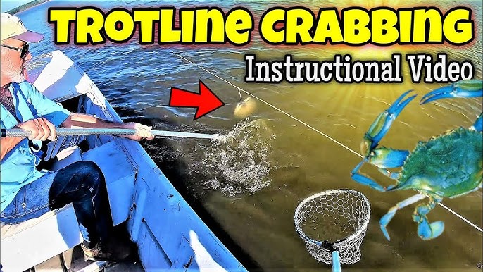 Crabbing with Crab Traps How To! Everything You Need To Know 
