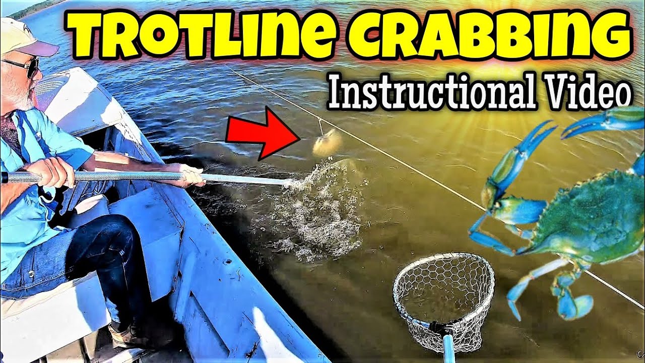 Trotline Crabbing How To Video! Everything You Need to Know 