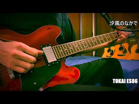 汐風のなかで  オフコース　cover TOKAI ES86