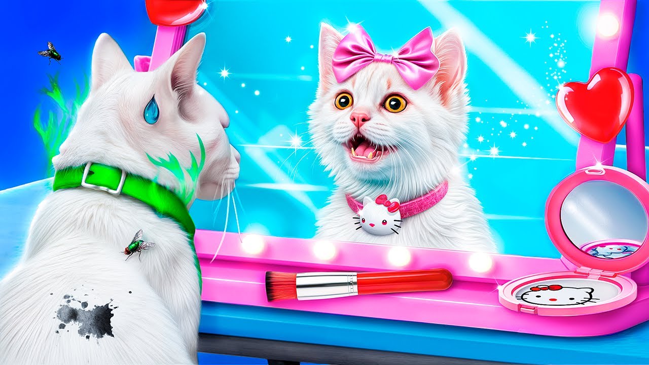 Budujemy Sekretny Pokój dla Zwierzaków! Metamorfoza Bezdomnego Kotka!