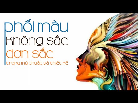 Phối màu mỹ