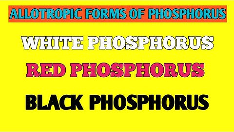 Allotropes Of Phosphorus|P-Block Elements|Chemistry Class 12th|#ncertchemistryclass12