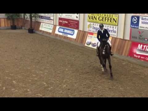 Staljoppen Born to be Picobello