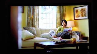 Hilarious Stomach Growl Target Ad