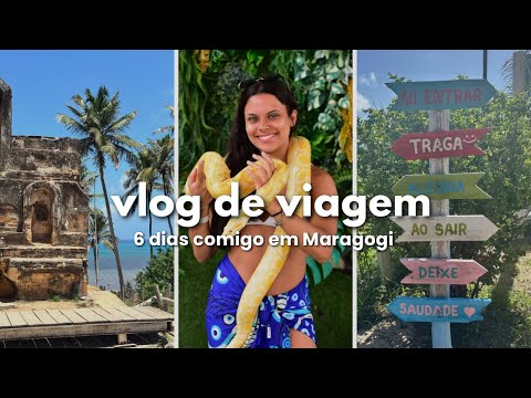 VLOG de viagem | peguei uma cobra no pescoço, tentativas de café saudável e vivendo na praia 🌊