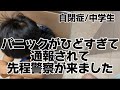 また通報されました💦自閉症思春期のパニックがやばい件【発達障がい/中学生】