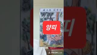 양띠 오늘의운세 2024년5월1일 수요일 운세 총운 금전운 재회운 연애운 길한색 길한방향 등 용띠운세 뱀띠운…