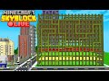 City Construction in Minecraft Skyblock | Live EP8 (Part 1)