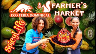 PLAYA DOMINICAL 🏄‍♂️ COSTA RICA🇨🇷 ECO FERIA 🍌🍍🍆🥑🍓FARMERS MARKET 💙COMMUNITY BUILDING SPICY LIFE🌶❤️🦅