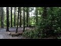 Rostrevor Mountain Bike Trails Linas &amp; Tomas