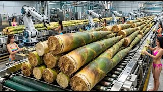 Inside a High Tech Bamboo Shoot Factory You’ve Never Seen Before