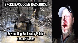 BrokeBack ComeBack Buck (BROKE my BACK-23ft FALL from SADDLE) Bowhunting Backwater Public Land Bucks