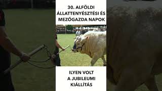 Ilyen volt a 30. Alföldi Állattenyésztési és Mezőgazda Napok | MMG #shorts