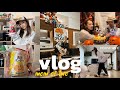 [VLOG]2歳0歳まま👩🏼🌙|日常家事🧺🧹|新居ルームツアー🏠🇺🇸|ハロウィンパーティ🎃🎈