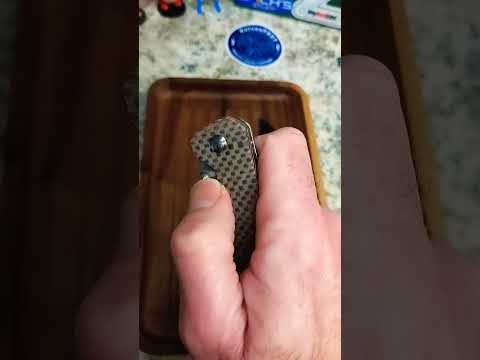 QSP Penquin Double Take
