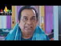 Telugu Comedy Scenes | Brahmanandam Comedy Scenes
