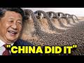 1.2 Million Rabbits Were Released into China’s Desolate Desert: An Unexpected Ending That…