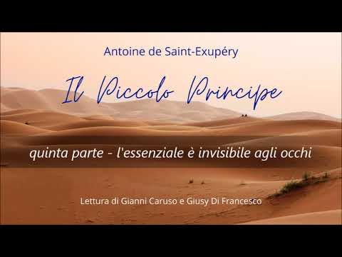 Video: Il Mistero Di Antoine De Saint-Exupery: Dove è Scomparso Lo Scrittore, La Cui Passione Principale Erano Gli Aeroplani? Visualizzazione Alternativa