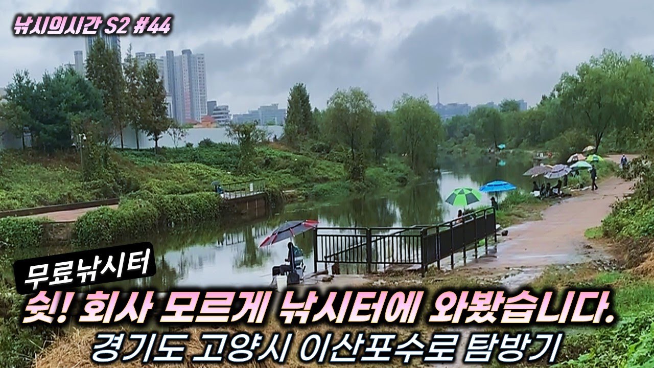 🐟 4짜출연 낚시터를 회사몰래 다녀왔습니다. 🐠 무료포인트! 경기도 고양시 이산포수로 [🎴낚시의시간 시즌2 #44]