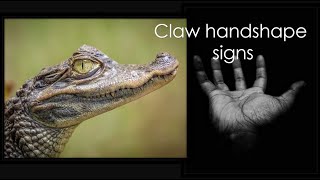 Auslan Claw Handshape Vocabulary Crocs and cakes and more  ( has voice)