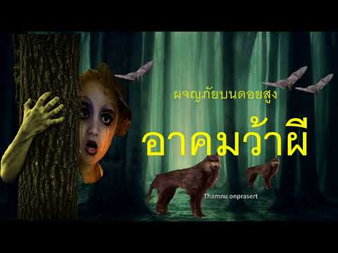 ๑๓๓.อาคมว้าผี ผจญภัยบนดอยสูง