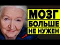 40 000 НЕЙРОНОВ В СЕРДЦЕ - СЕНСАЦИЯ О КОТОРОЙ МОЛЧАТ