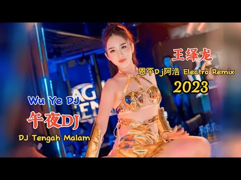 王绎龙 - 午夜DJ - (恩平Dj阿浩 Electro Remix 2023) - Wu Ye DJ - DJ Tengah Malam #dj抖音版2023