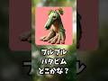 ブルブルパタピムどこかな?#ゲーム #挑戦 #かくれんぼ #10秒チャレンジ #スプランキー #クイズ #tungtungtungsahur #shorts