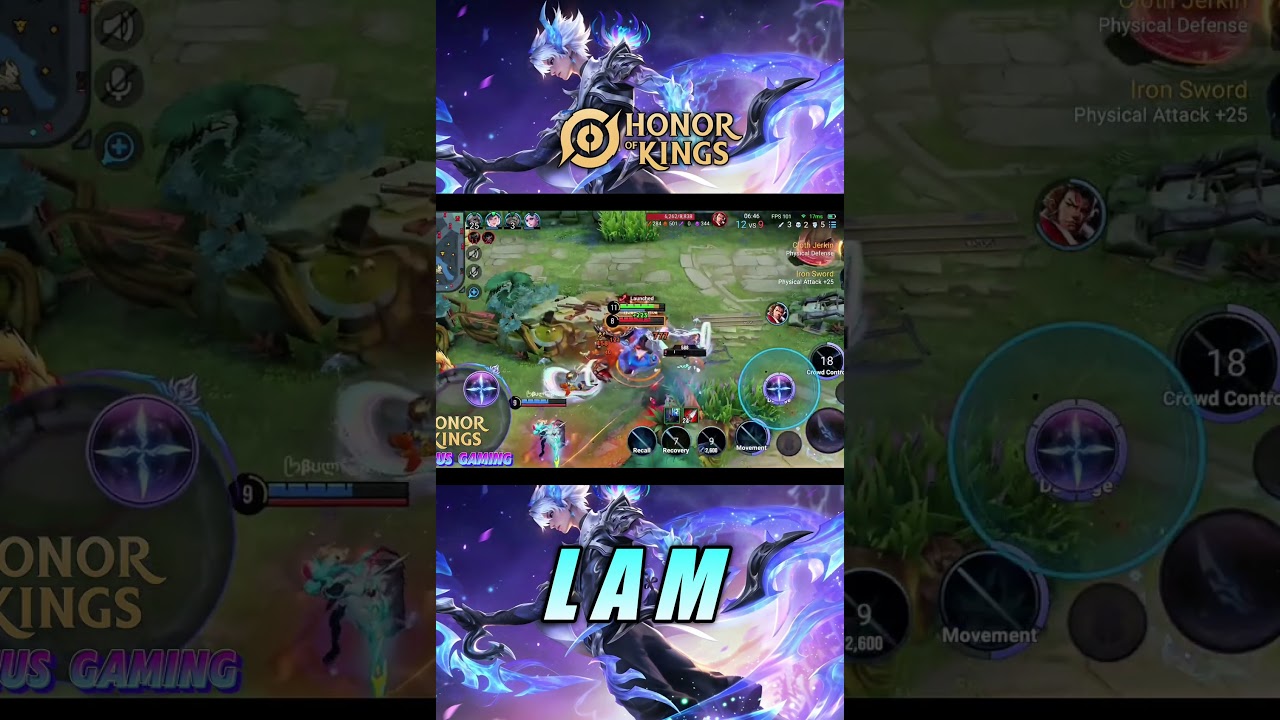 LAM ASSASSIN 100% INSANE DAMAGE!! 