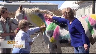 RCGC Today June / July 2017 Equine Science