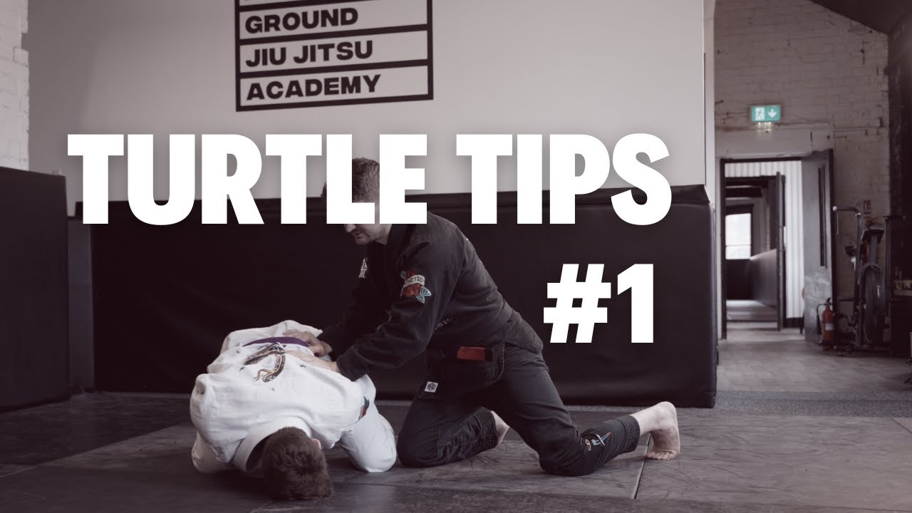 Turtle Tips Turtle Tips - Stability - YouTube