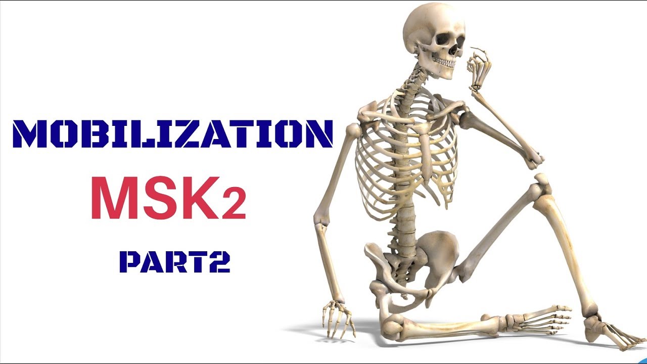 musculoskeletal lecture 2 | mobilization part 2
