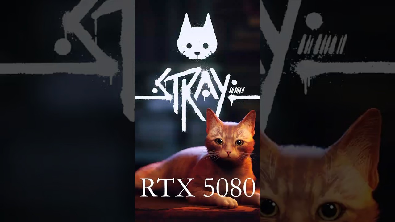 Stray - RTX 5080 - BECHMARK             