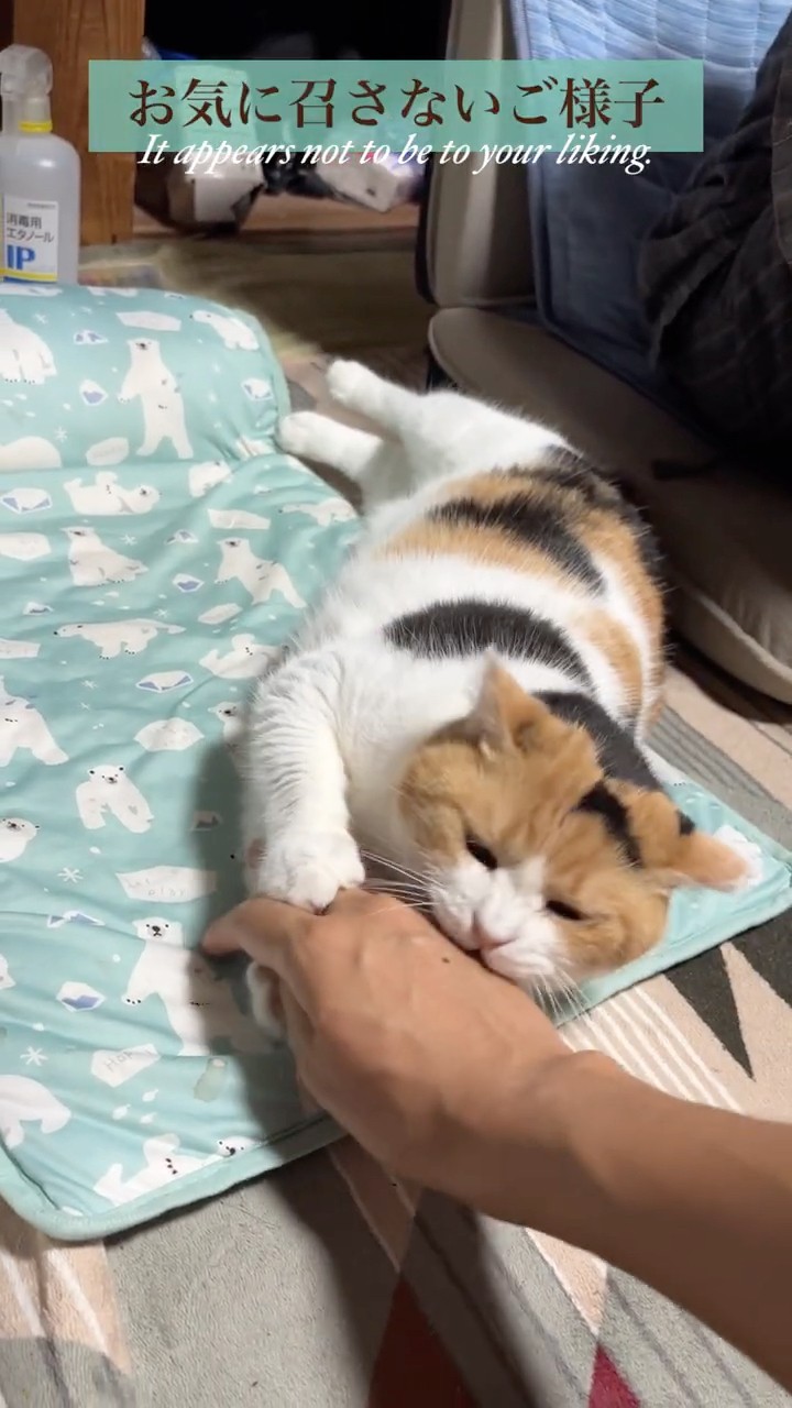 のりたまちゃんページです。 のりたま ちゃんねる - YouTube