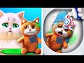 My Cat Saved This Cute Kitten! *Amazing Crafts And DIYs For Pets*