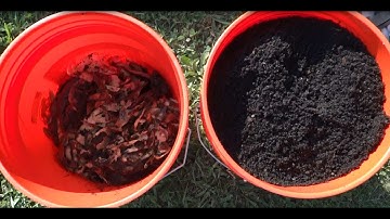 Harvesting Worm Casting - Worm Composting Update