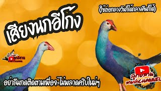 เสียงนกอีโก้ง screenshot 5