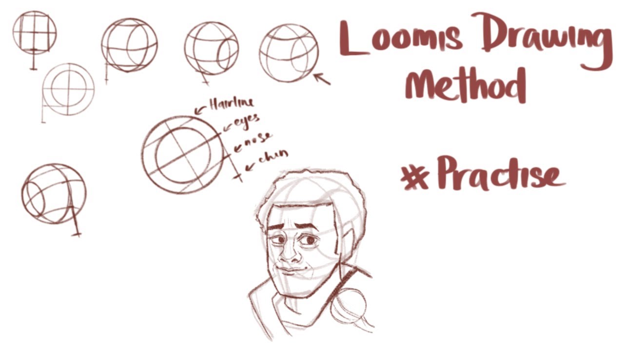 Loomis Drawing Method Practice/Tutorial #art #tutorial #timelapse - YouTube