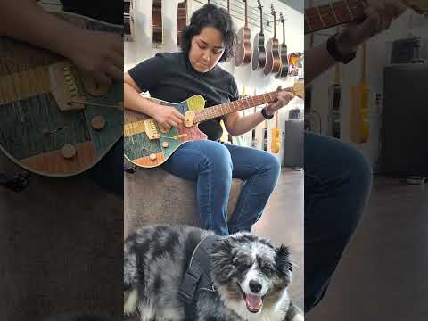 Jersey Girl Homemade Guitars – Tapa Festeeva.