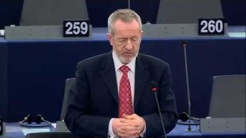 RED II Debate Strasbourg