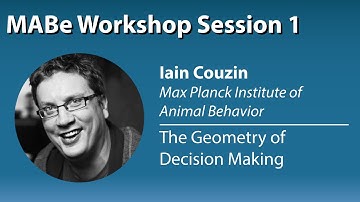 [CVPR 2021] Multi-Agent Behavior (MABe) Workshop: Iain Couzin